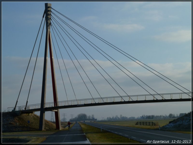 nieuwjaarsloop2013113.jpg